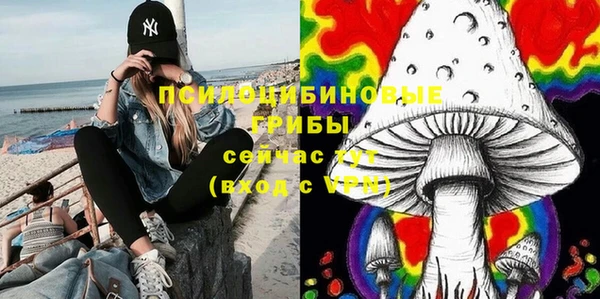 молекула духа Алексеевка
