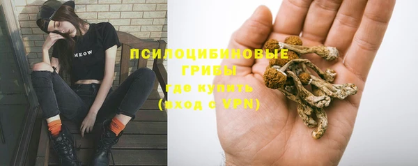 2c-b Алзамай