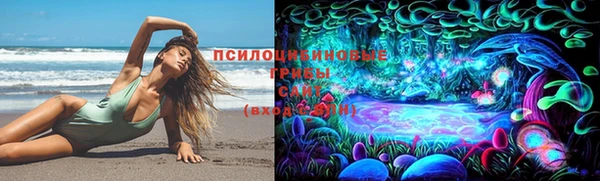 молекула духа Нязепетровск