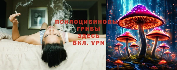 2c-b Алзамай